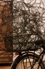 „Fahradskulptur”, 2010, 250x200x25cm, bicycle, metal wire